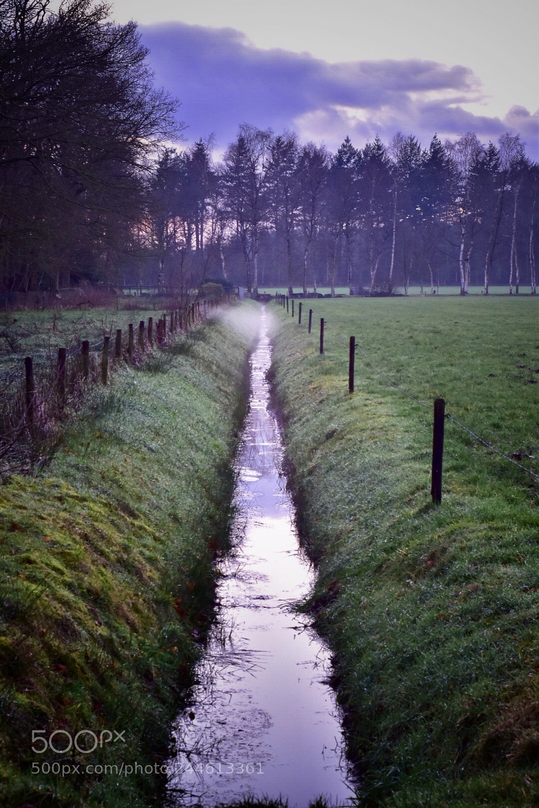 Nikon D5500 sample photo. Nature❤️ photography