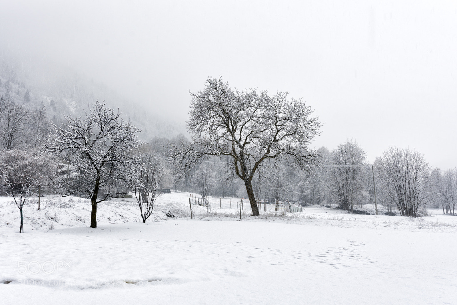Nikon D7200 sample photo. Snowfall photography