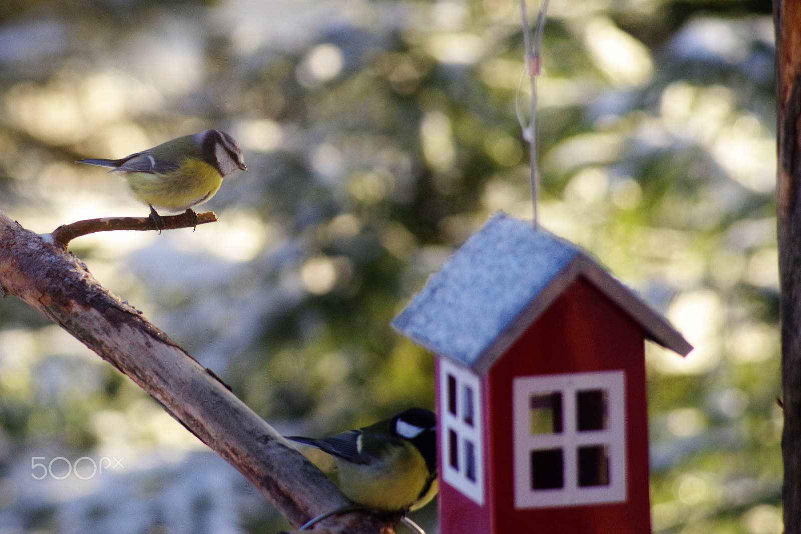 smc PENTAX-F 80-200mm F4.7-5.6 sample photo. Img photography