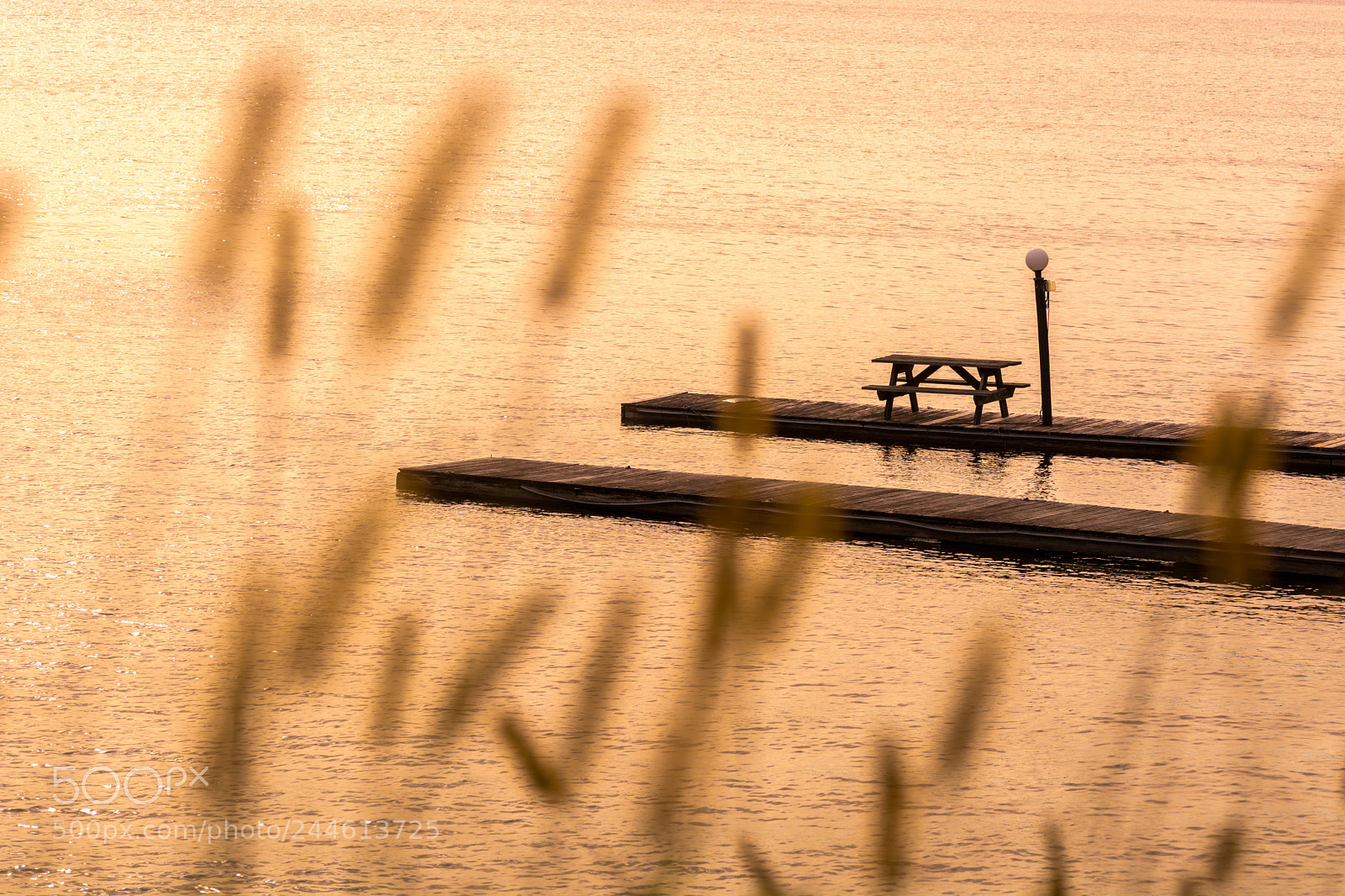 Nikon D7100 sample photo. 35620280654.jpg photography