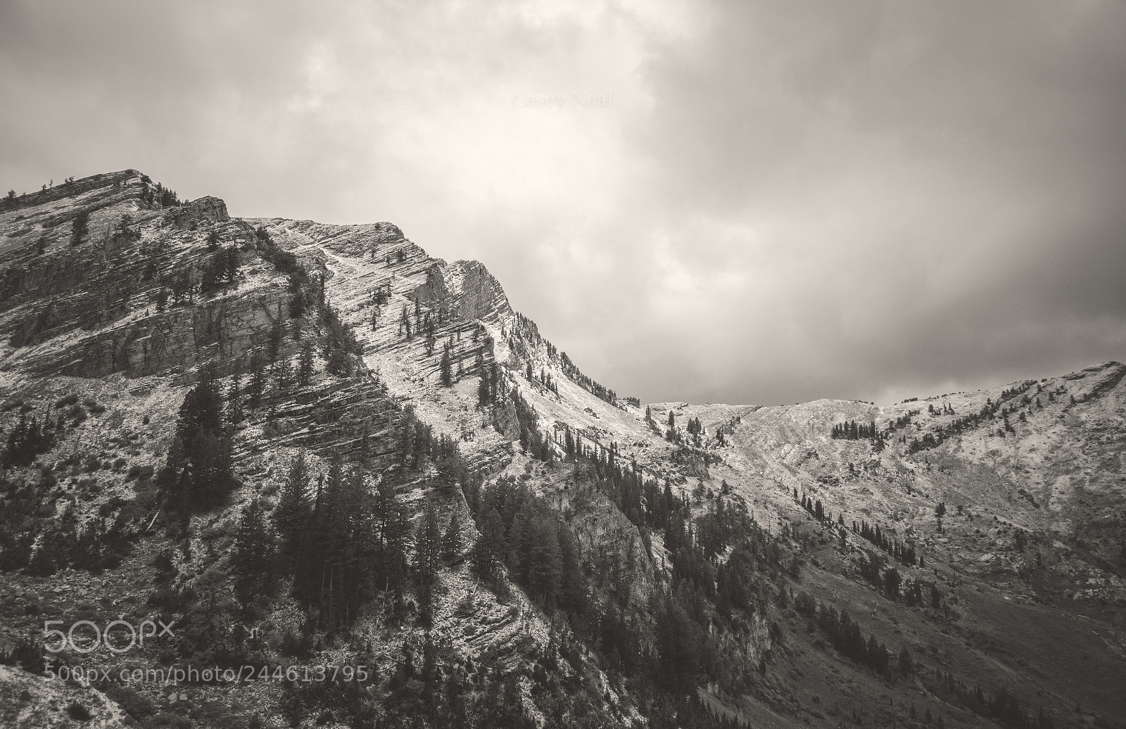 Nikon D5100 sample photo. High creek canyon snowfall photography