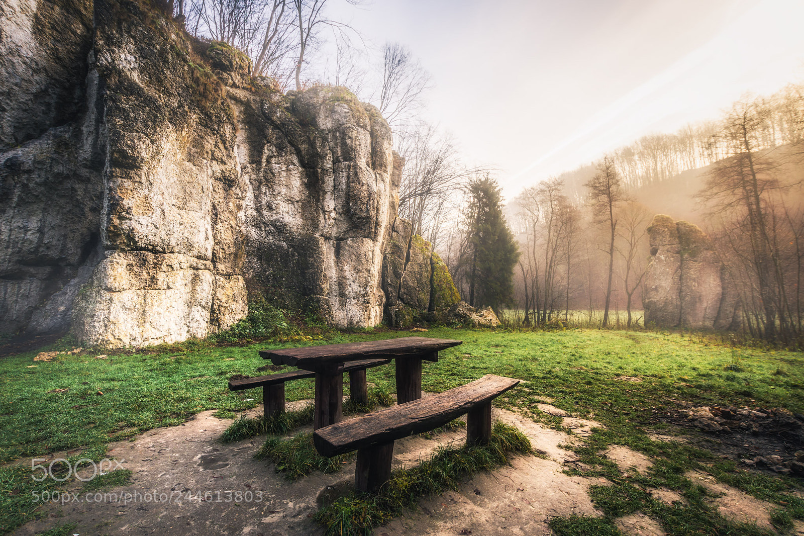 Nikon D7200 sample photo. A kto rano wstaje... photography