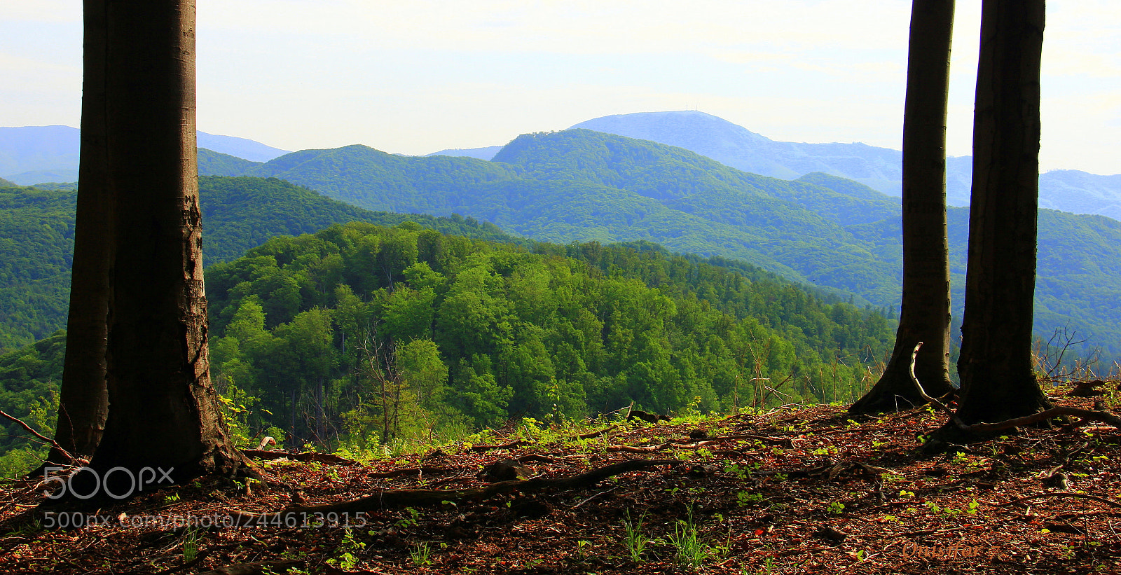 Canon EF-S 18-200mm F3.5-5.6 IS sample photo. Maramures,romania photography