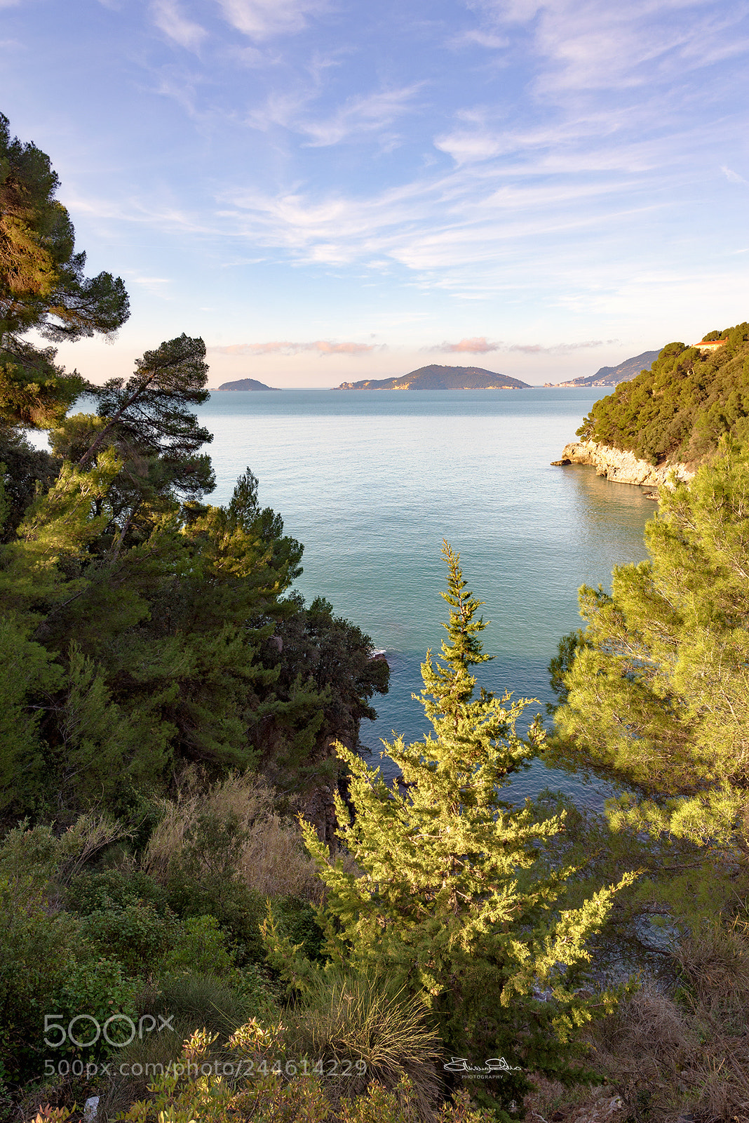 Nikon D610 sample photo. Lerici view photography