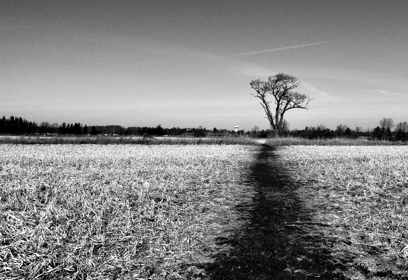 Apple iPhone 5s sample photo. The dark path photography