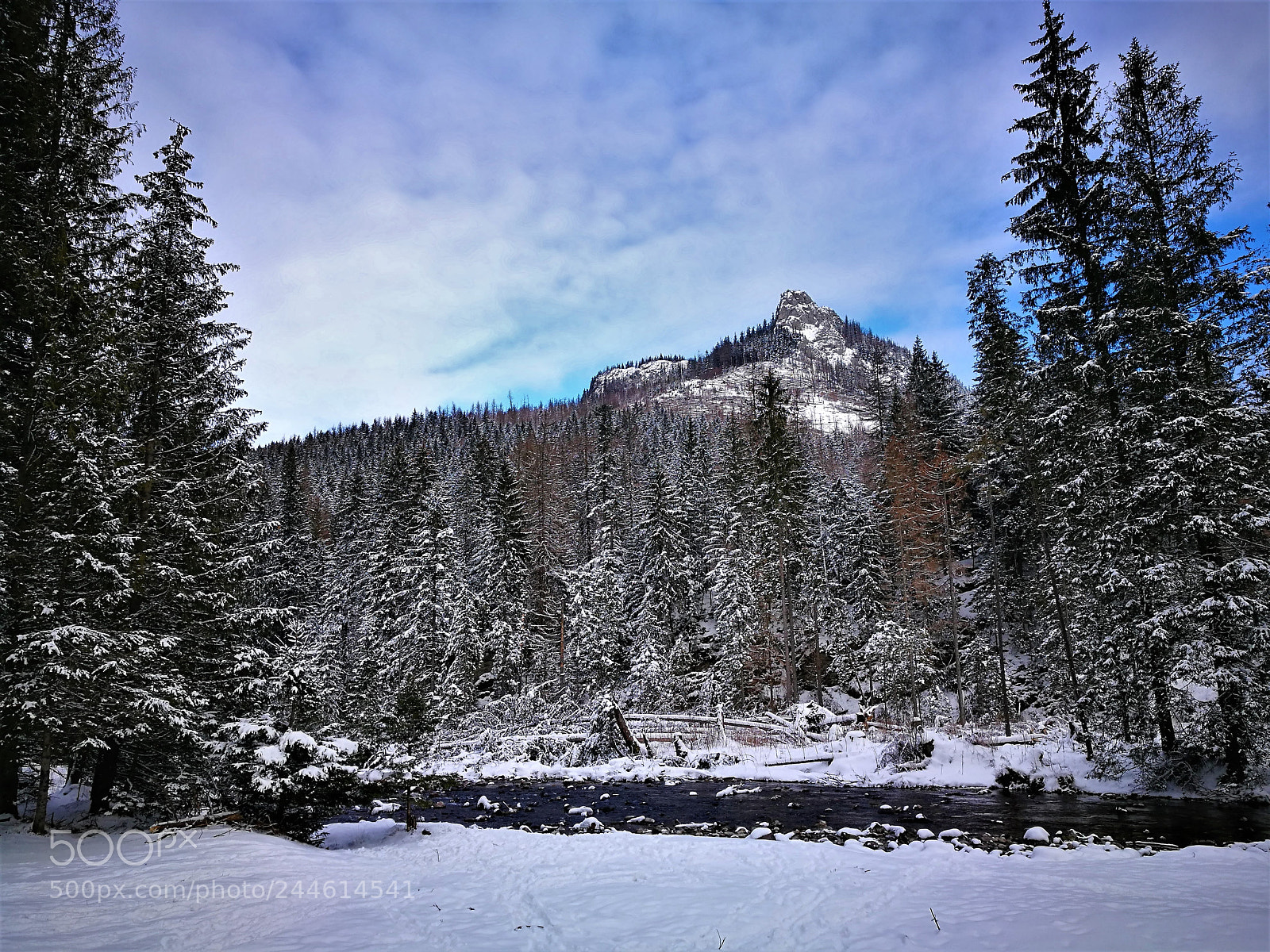 HUAWEI P9 sample photo. Winter landscape photography