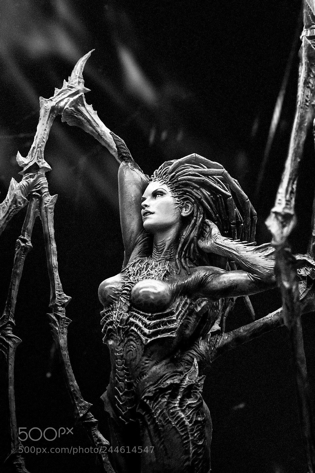 Nikon D7100 sample photo. Queen of blades photography