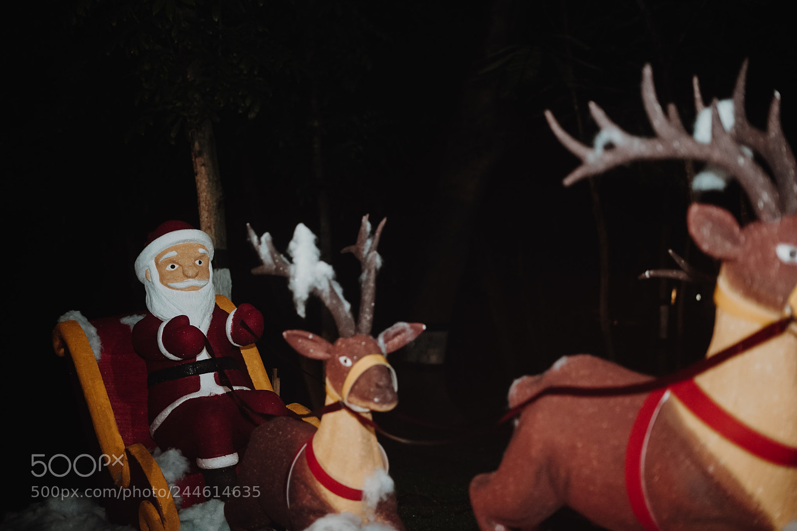 Sony a7 II sample photo. Dsc photography
