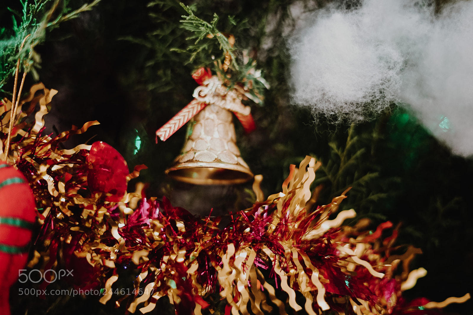 Sony a7 II sample photo. Dsc photography