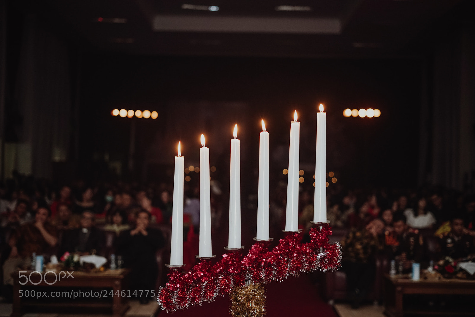 Sony a7 II sample photo. Dsc photography