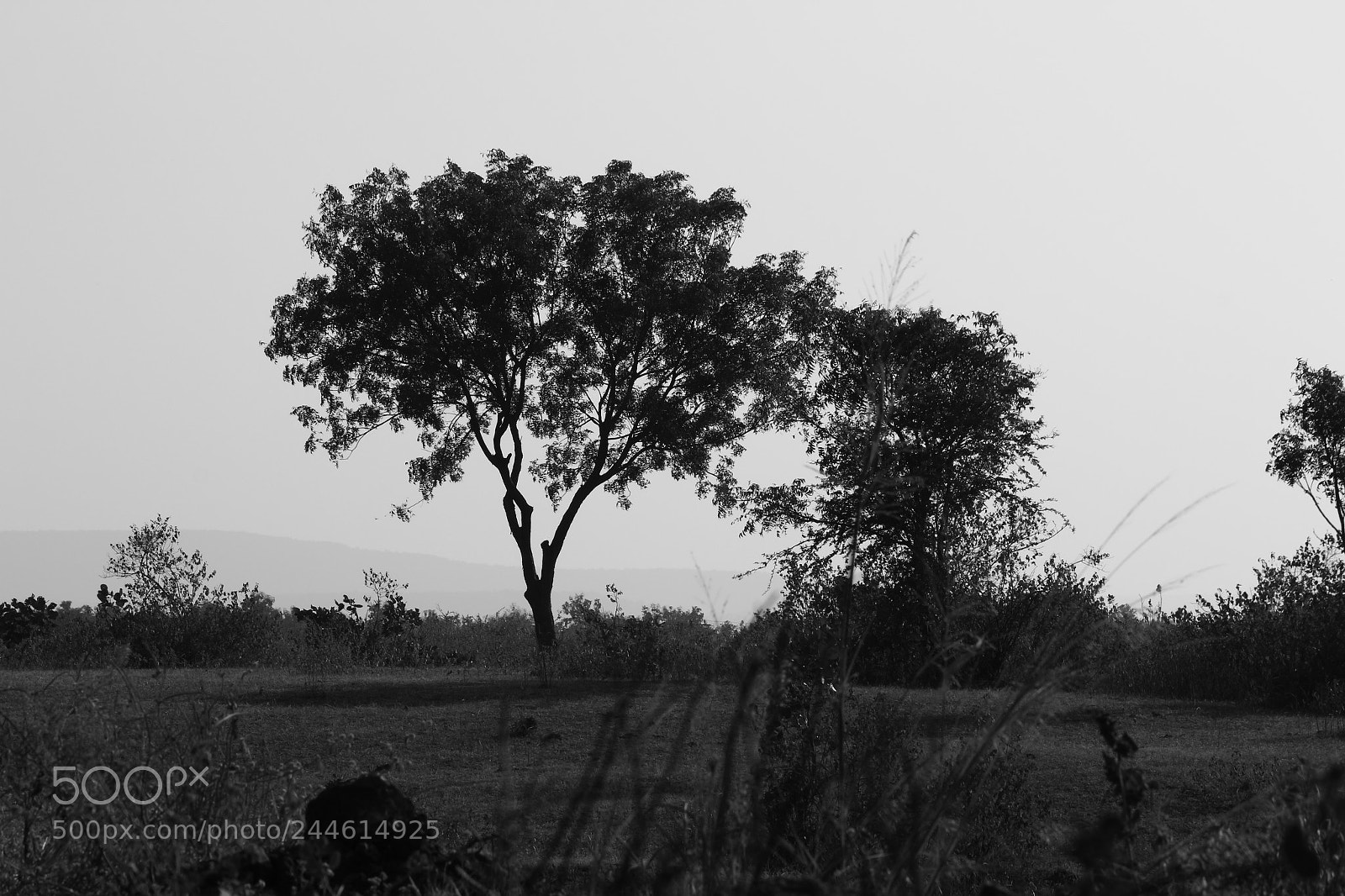 Canon EF-S 55-250mm F4-5.6 IS II sample photo. Sheds of grey and photography