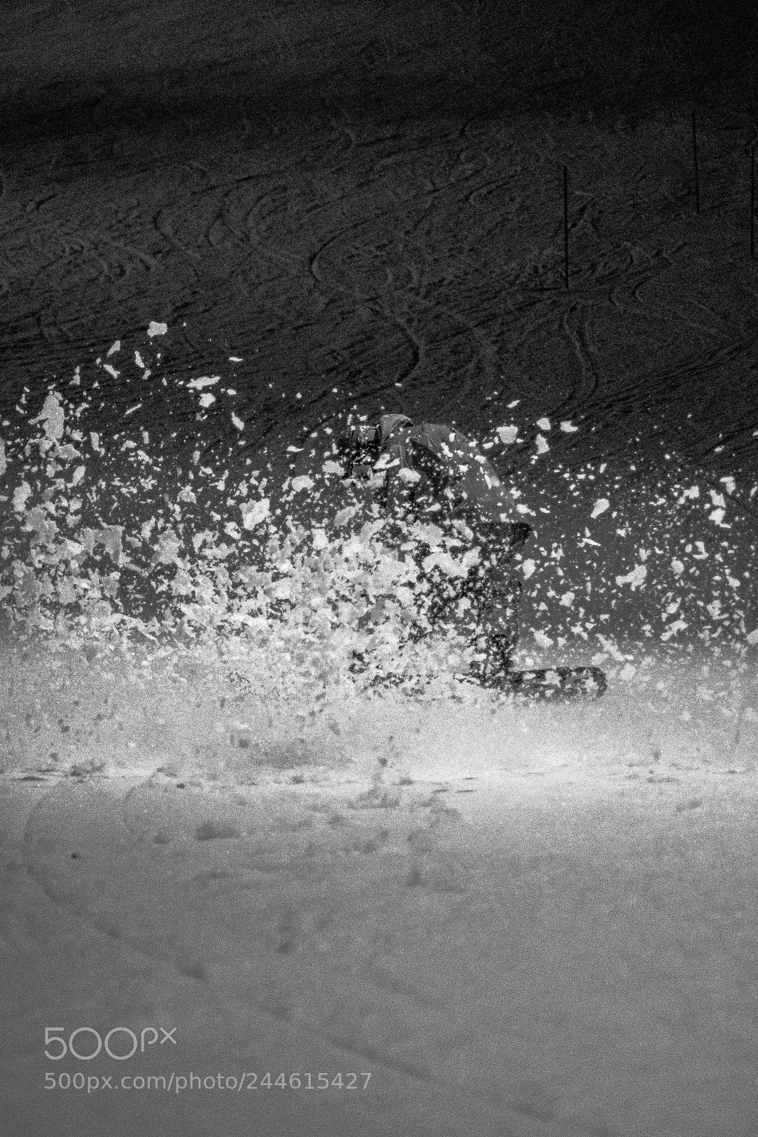 Nikon D500 sample photo. It's snowflakes time photography
