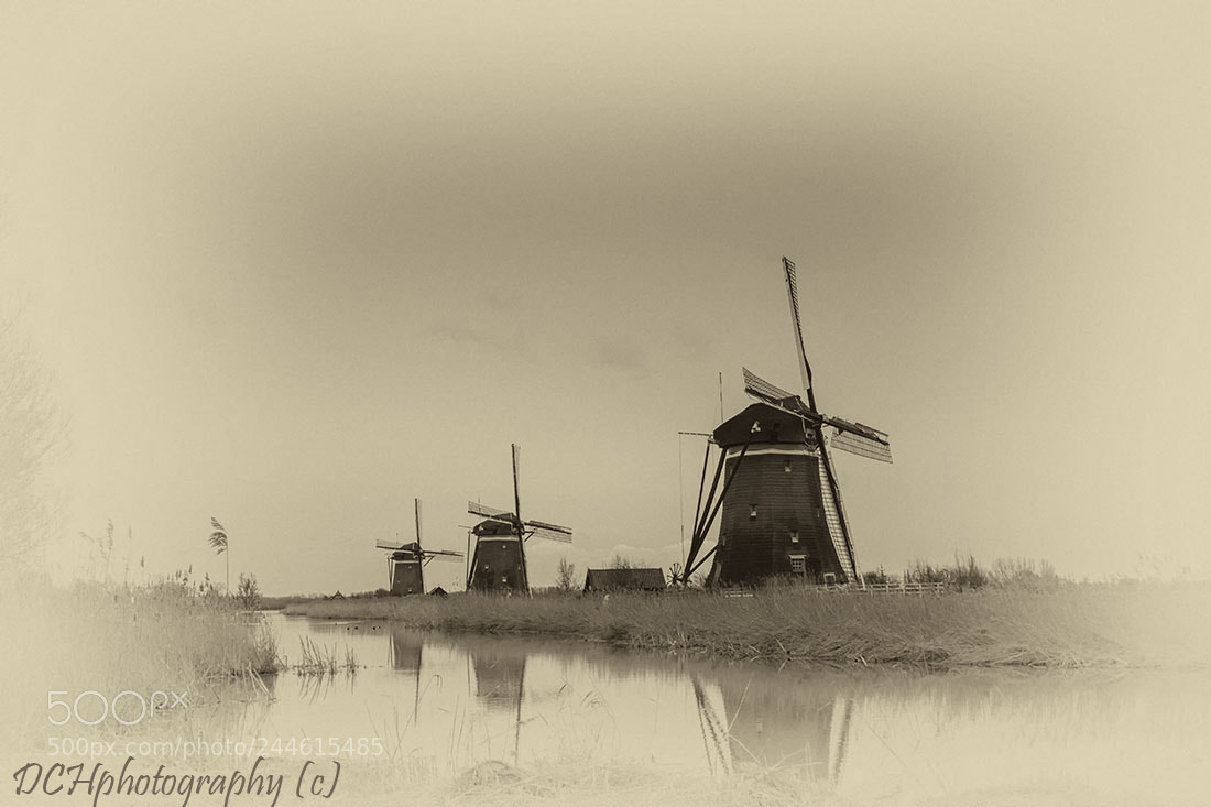 Canon EOS 650D (EOS Rebel T4i / EOS Kiss X6i) sample photo. Windmills photography