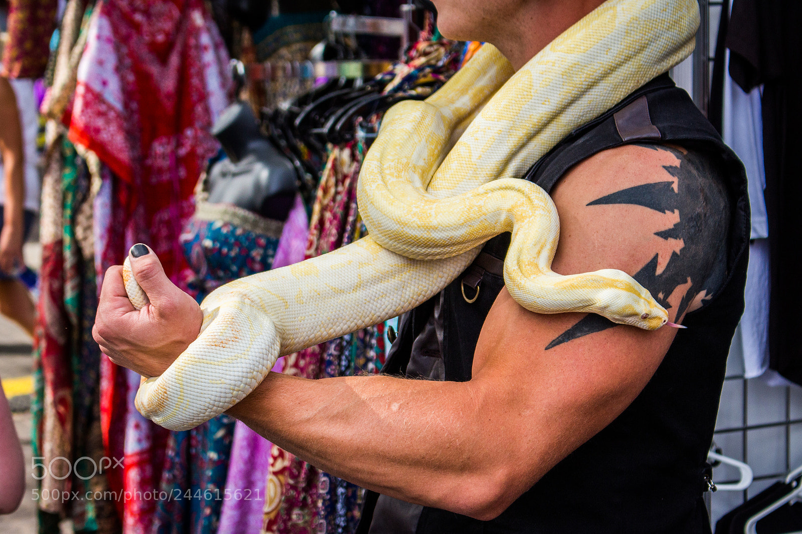 Canon EOS 700D (EOS Rebel T5i / EOS Kiss X7i) sample photo. Snake man photography