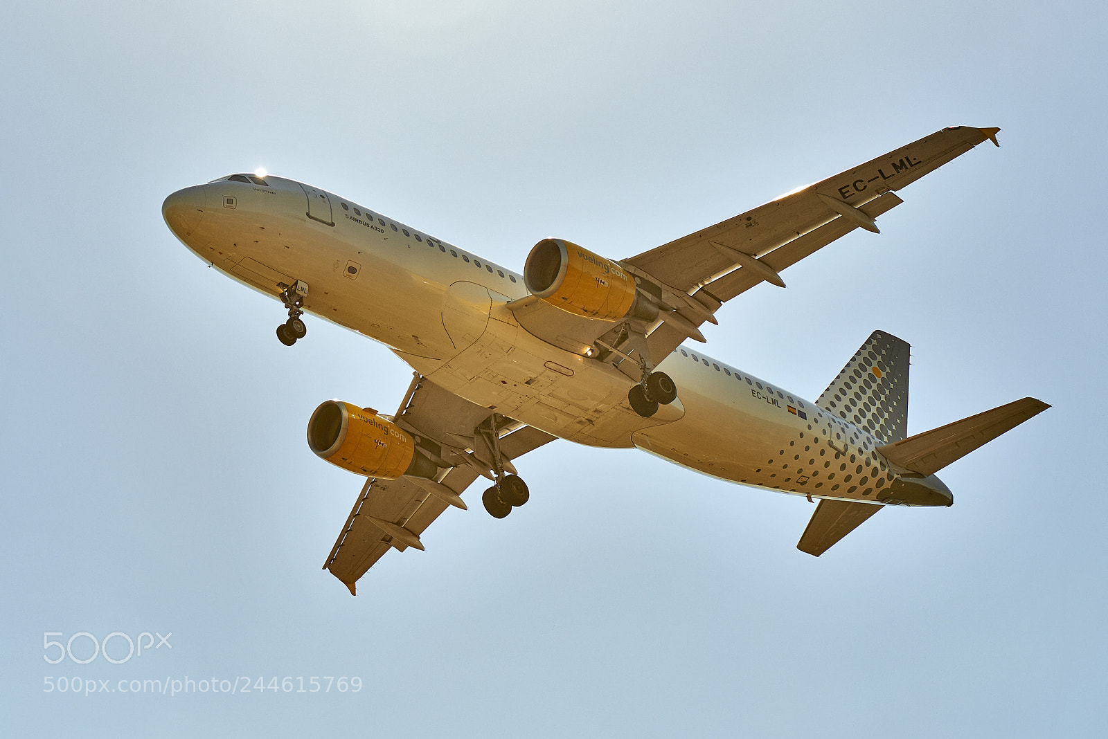 Nikon D800E sample photo. Jet airplane landing in photography