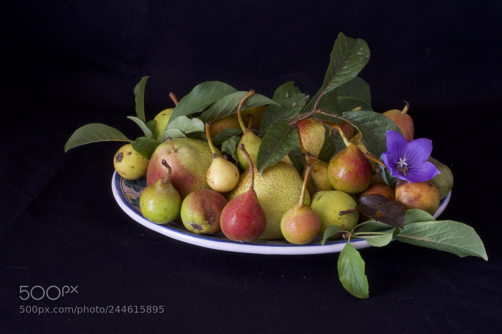 Sony a7R sample photo. Frutta di stagione photography