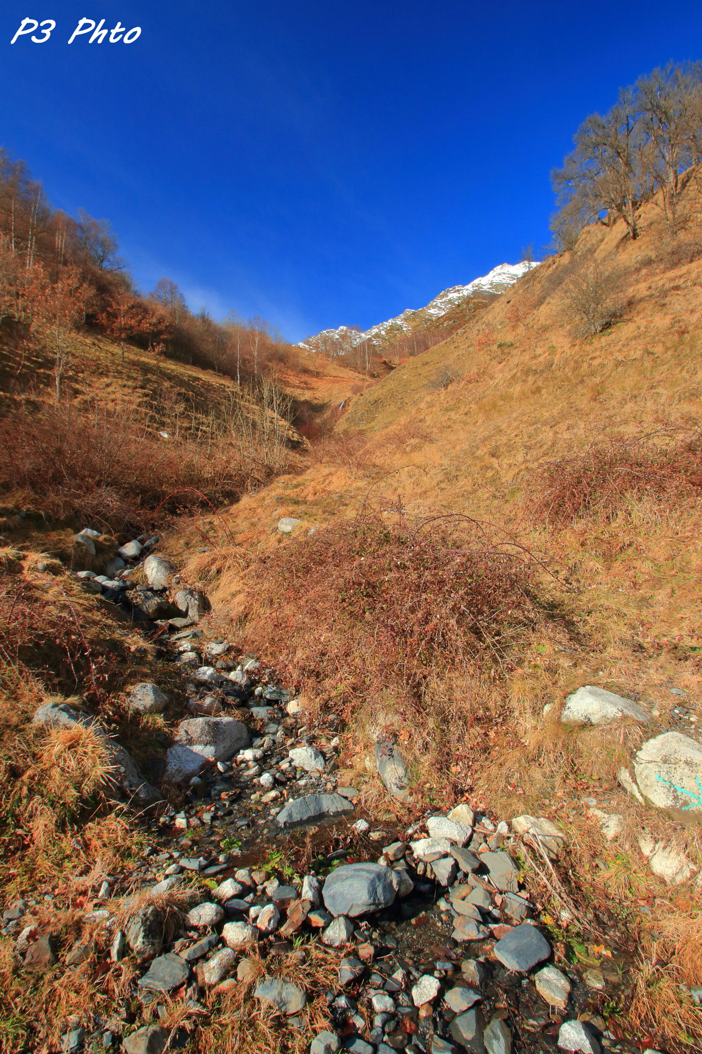 Sigma 10-20mm F3.5 EX DC HSM sample photo. Img photography