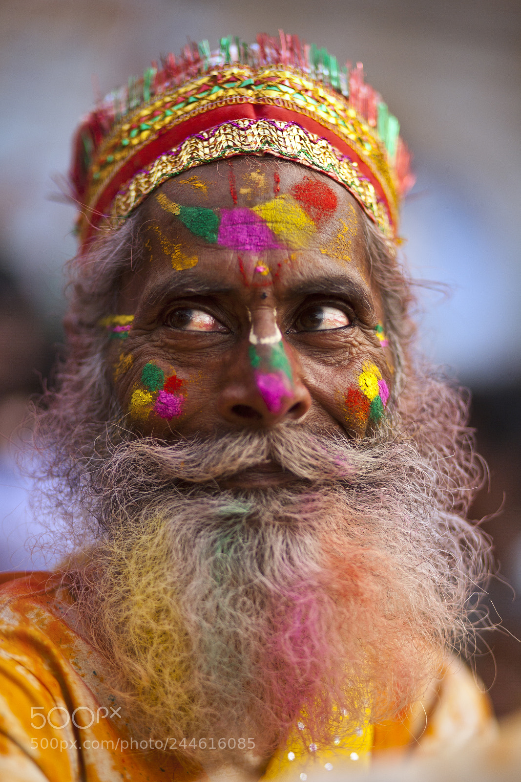 Canon EOS 5D sample photo. Holi festival, india photography