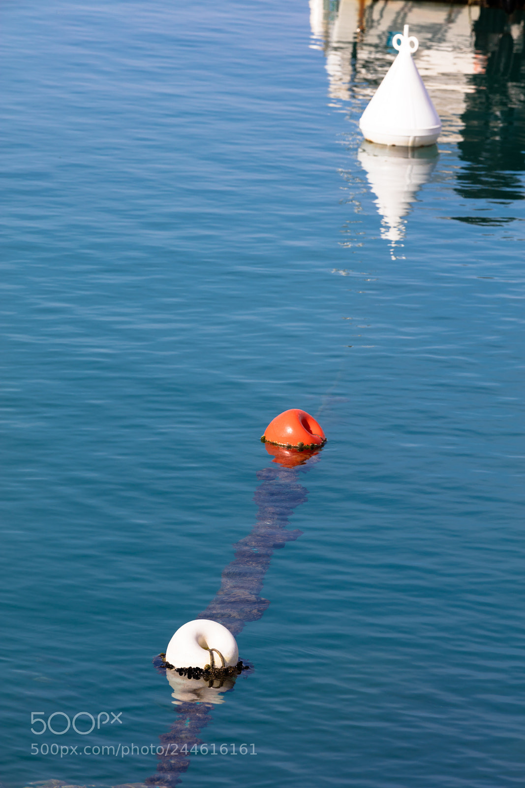 Canon EOS 5DS R sample photo. Buoys floating on harbor photography