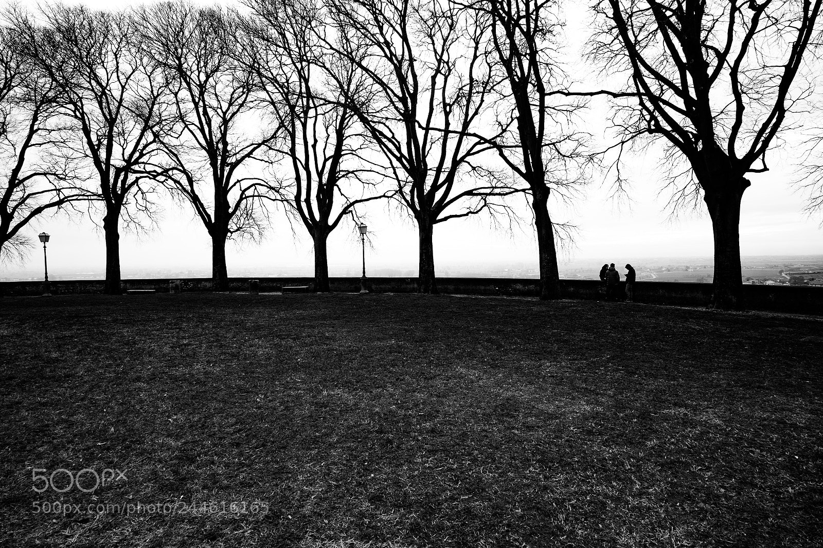 Fujifilm X-T10 sample photo. Landscape bw photography
