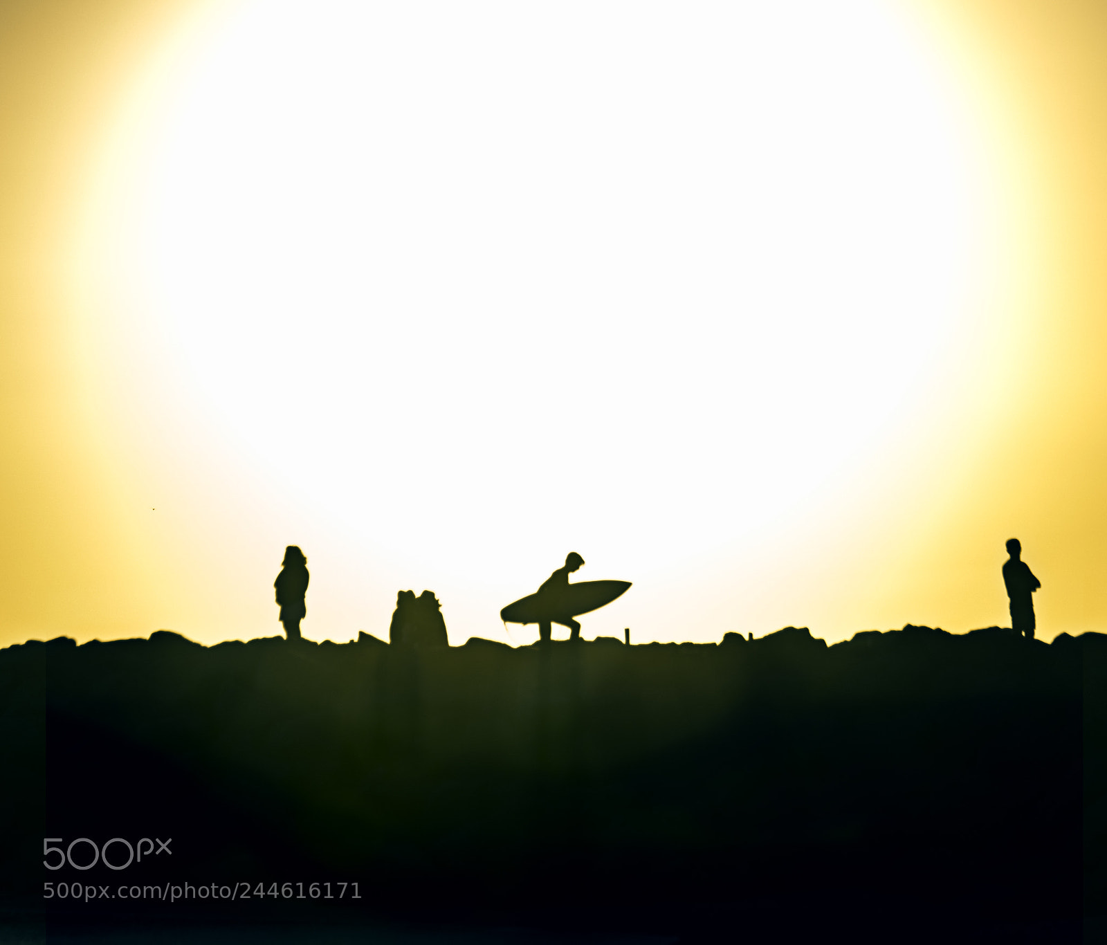 Nikon D810 sample photo. Run for the sun photography