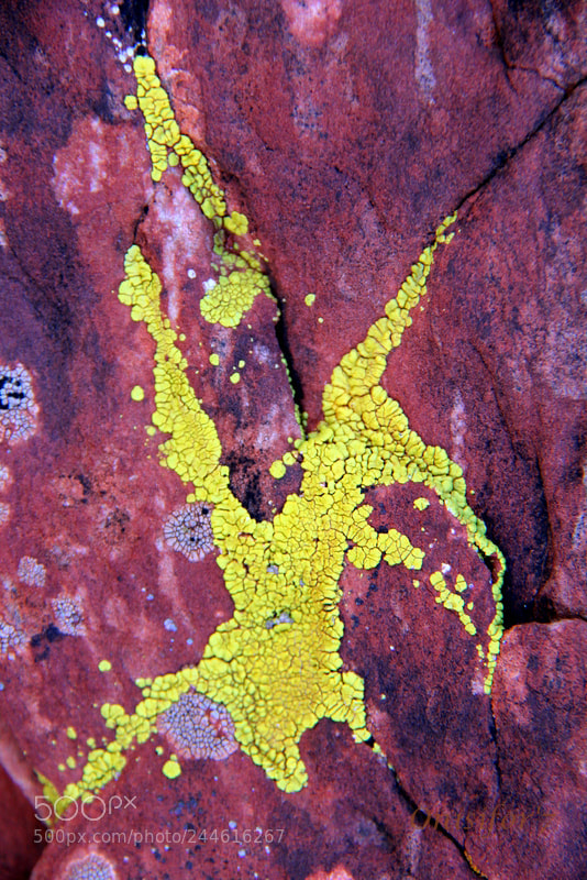 Canon EOS 60D sample photo. Sedona ,az photography