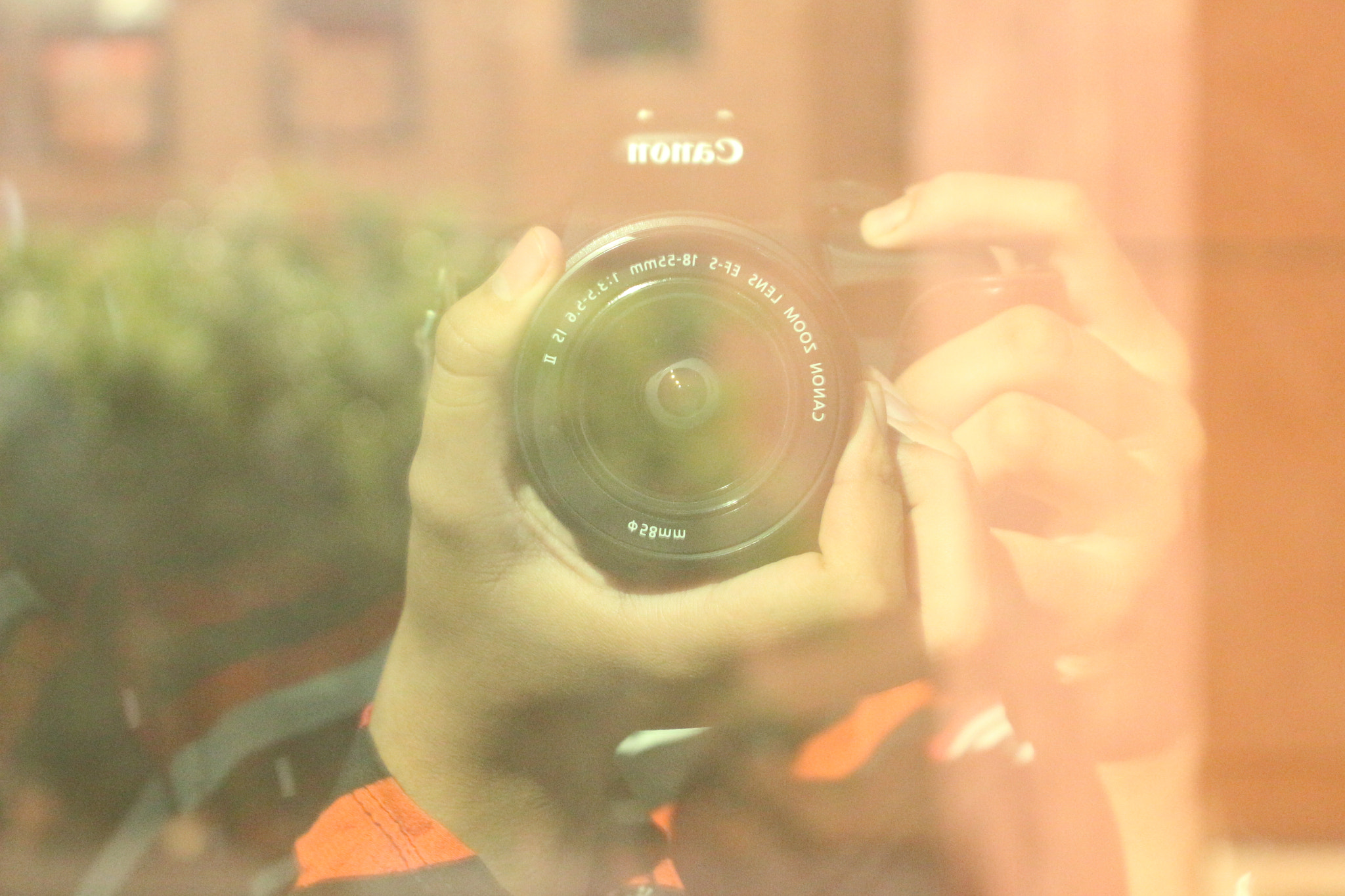 Canon EOS 100D (EOS Rebel SL1 / EOS Kiss X7) sample photo. Img photography