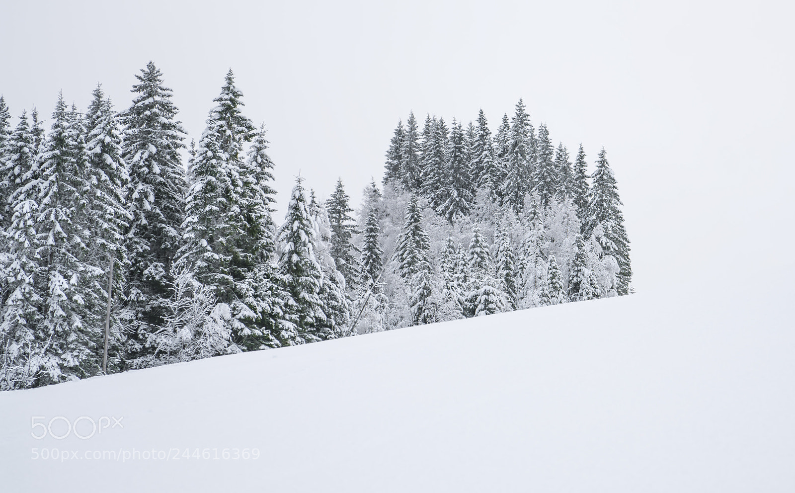 Sony a7R II sample photo. Top of the hill photography