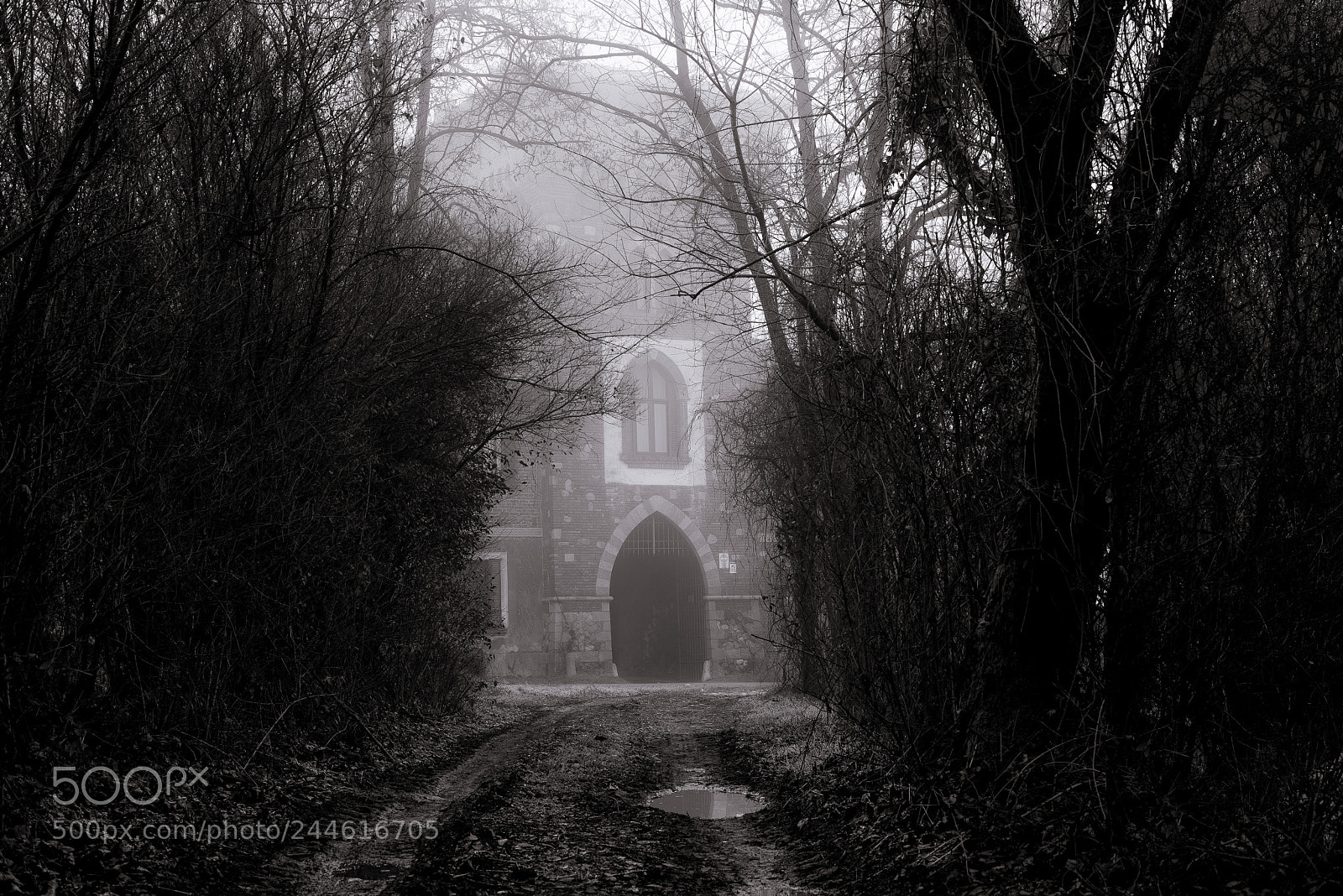 Nikon D810 sample photo. A castle in the photography
