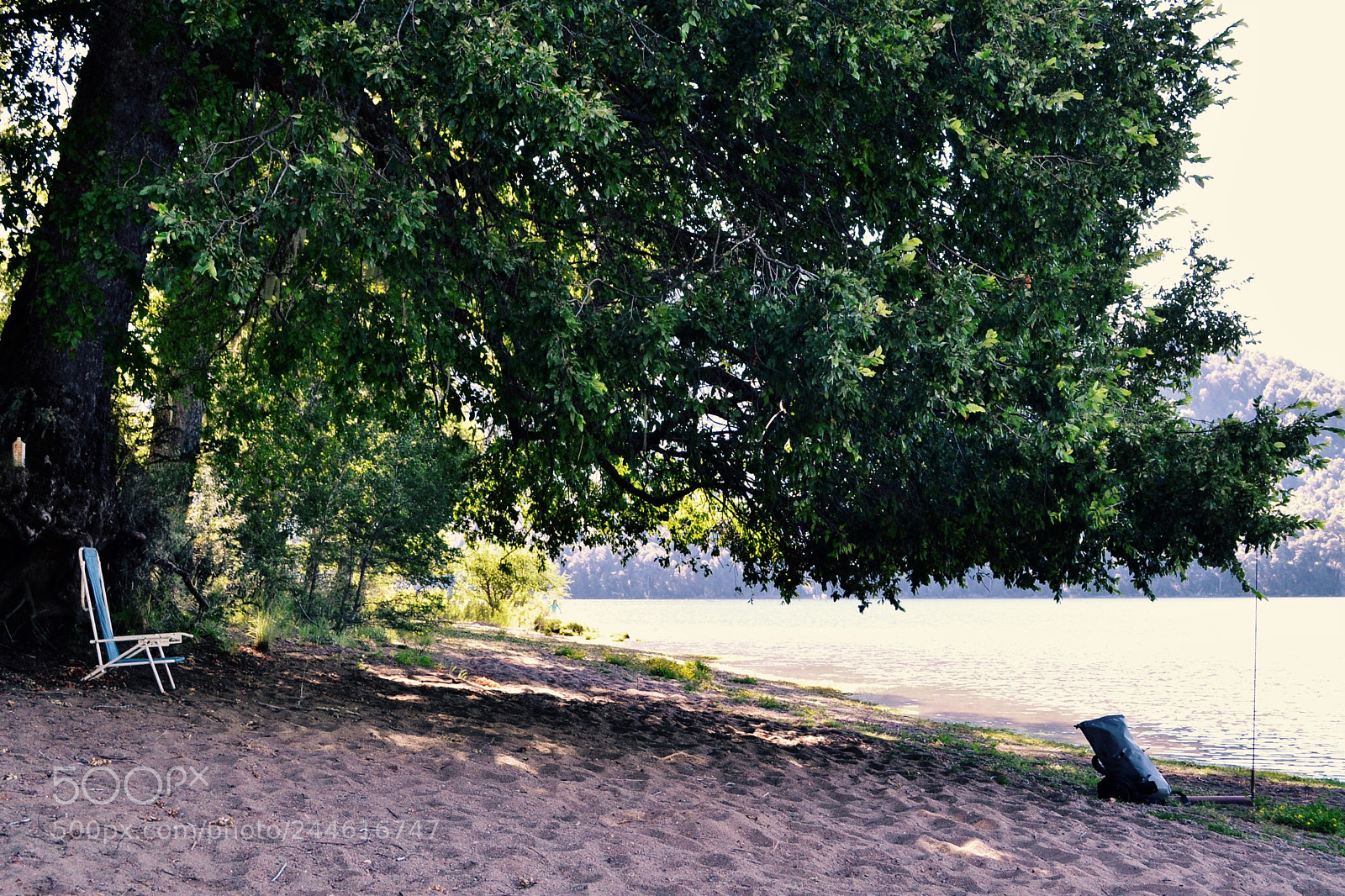 Nikon D3100 sample photo. Foto photography
