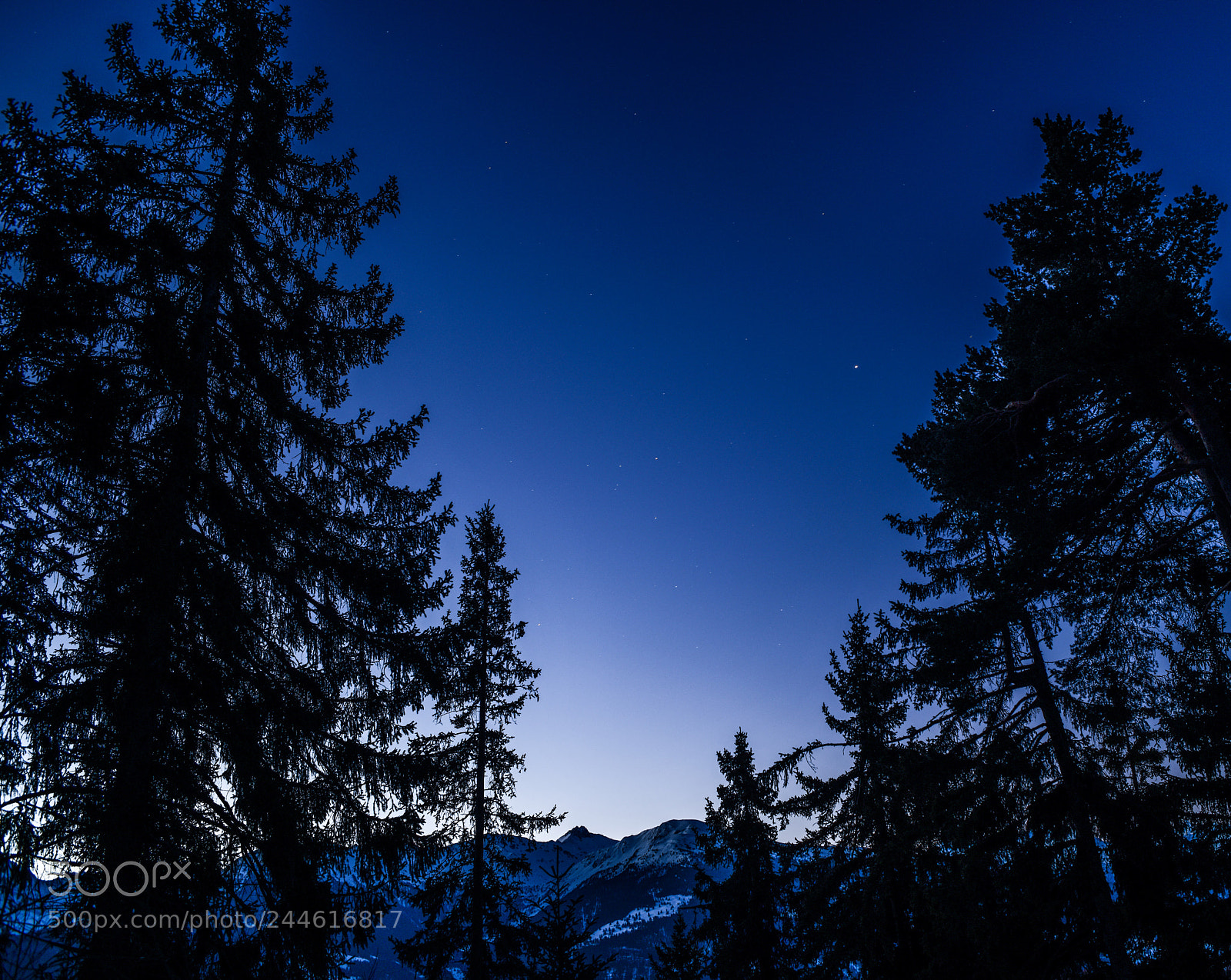 Nikon D850 sample photo. Blue hour under stars photography