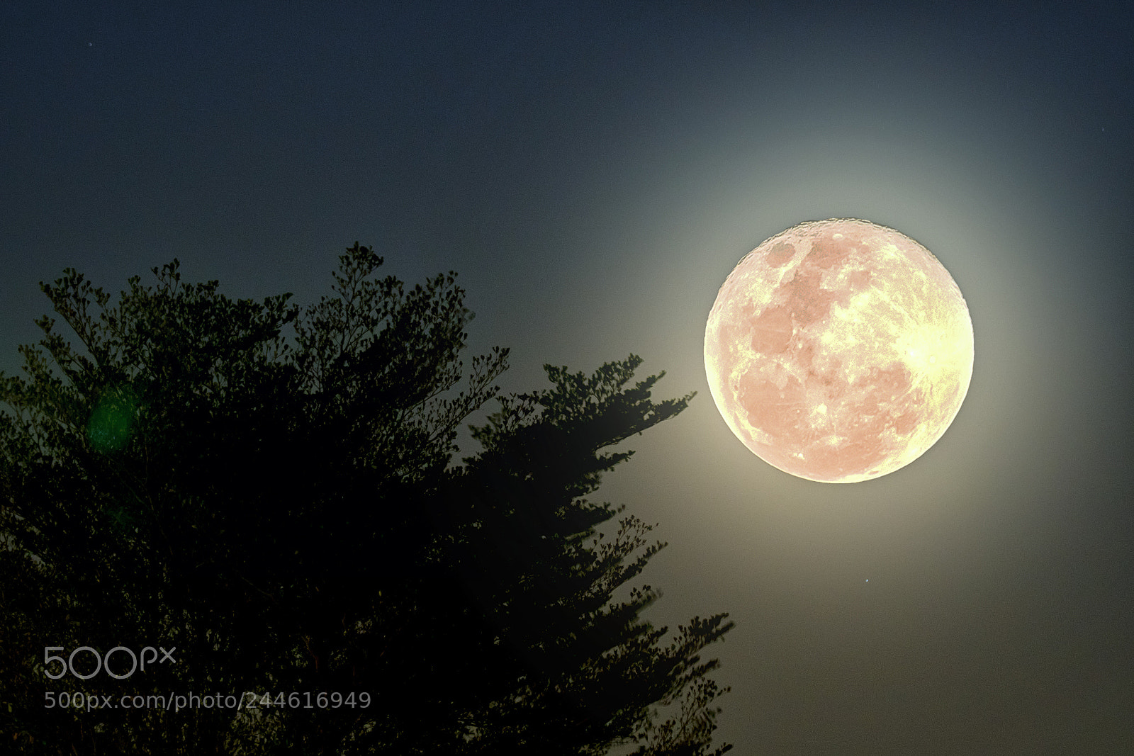 Sony a6300 sample photo. Blood moon photography