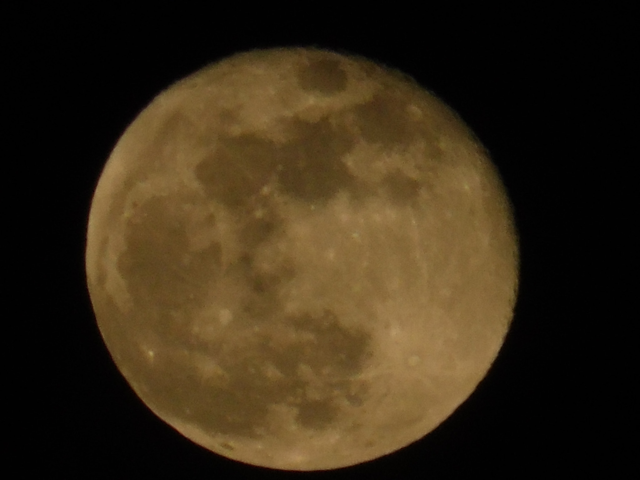 Samsung WB100/  WB101 sample photo