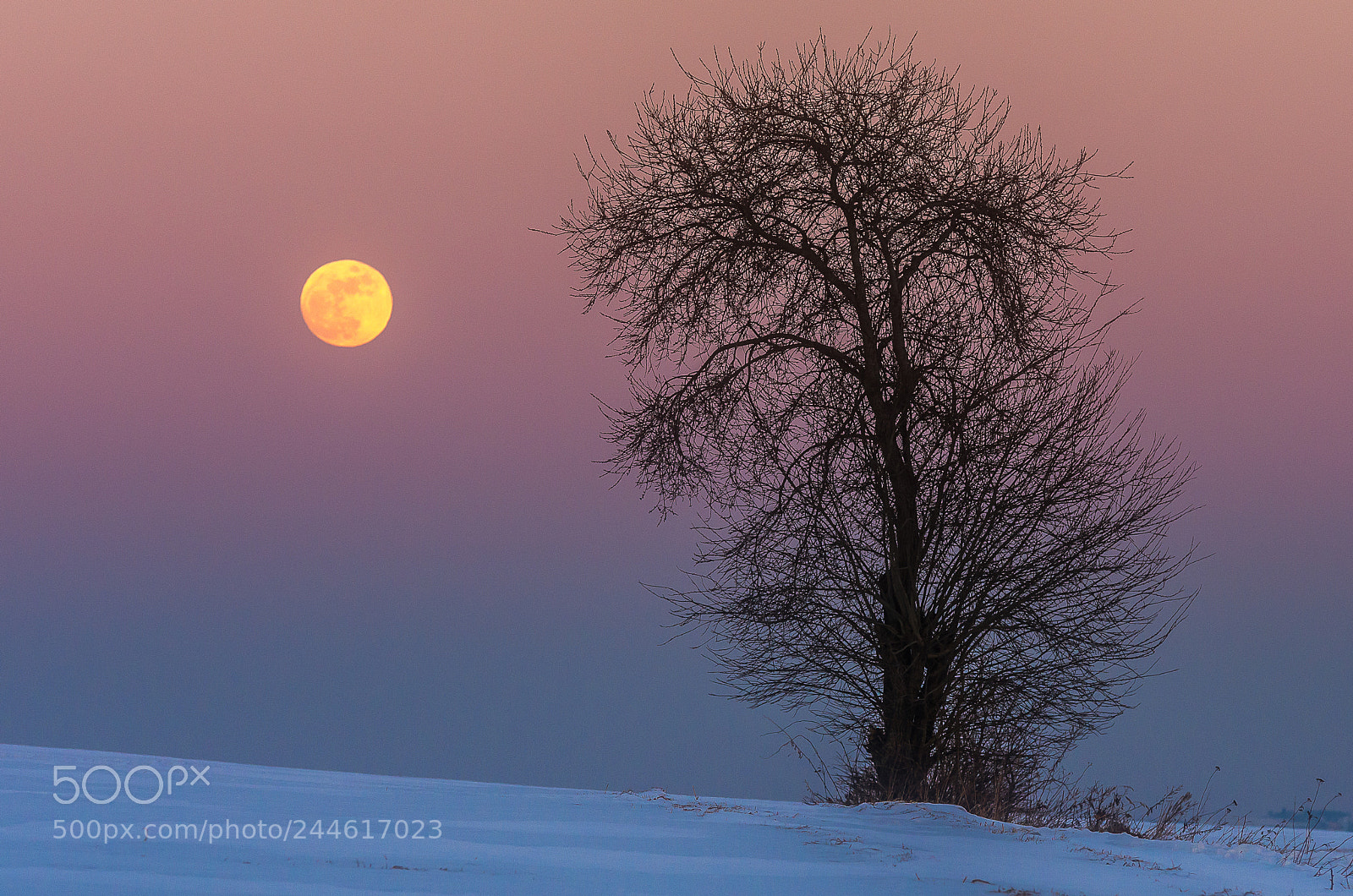 Pentax K-5 II sample photo. Fullmoon photography