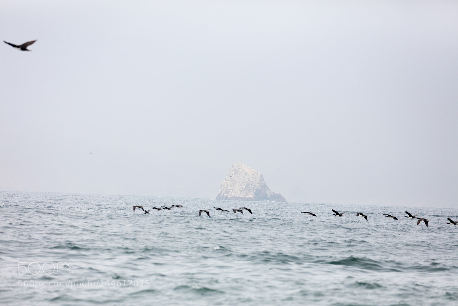 Canon EOS 5DS R sample photo. Ballestas islands, peru photography