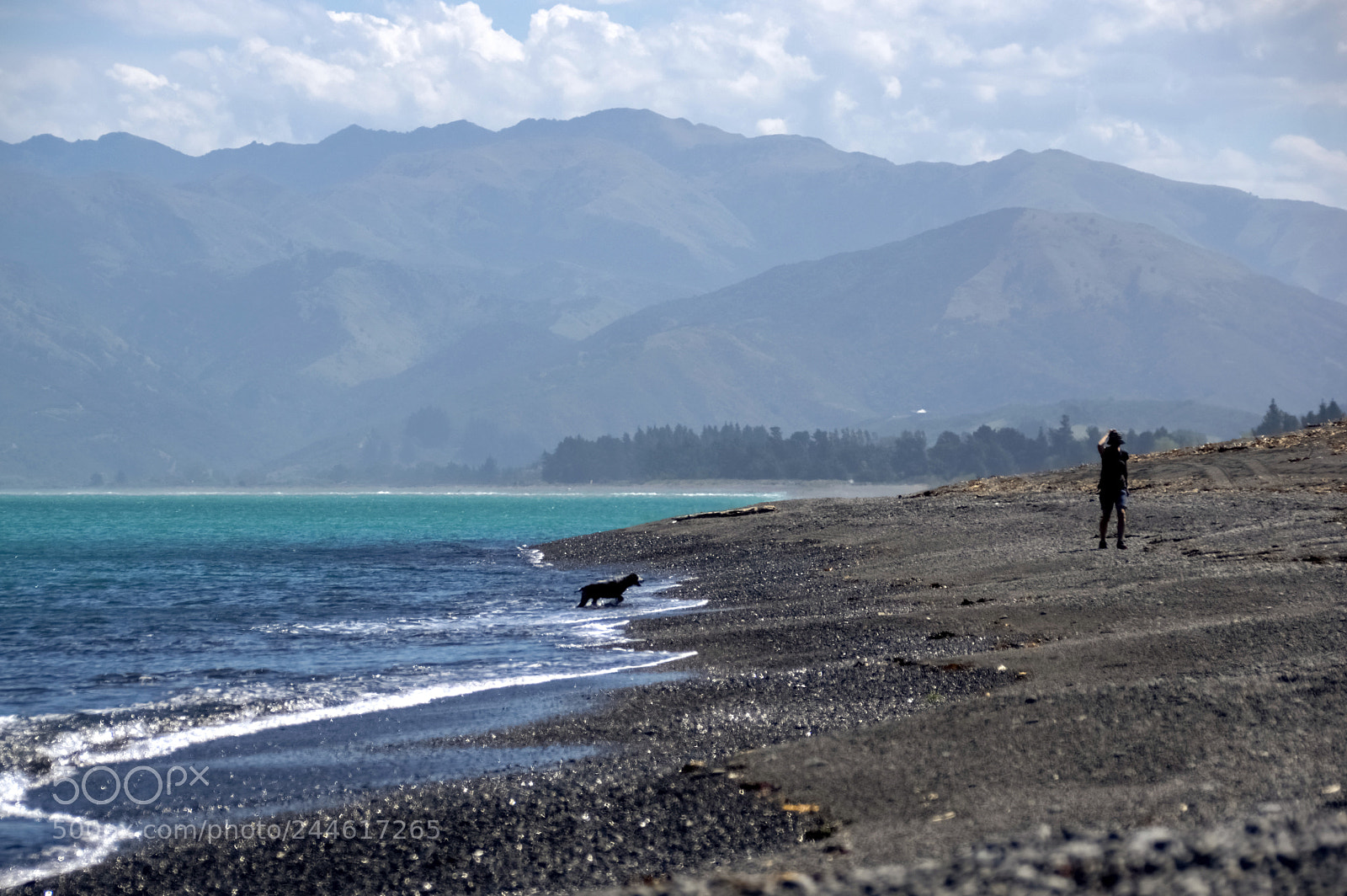 Pentax K-3 II sample photo. Walk photography