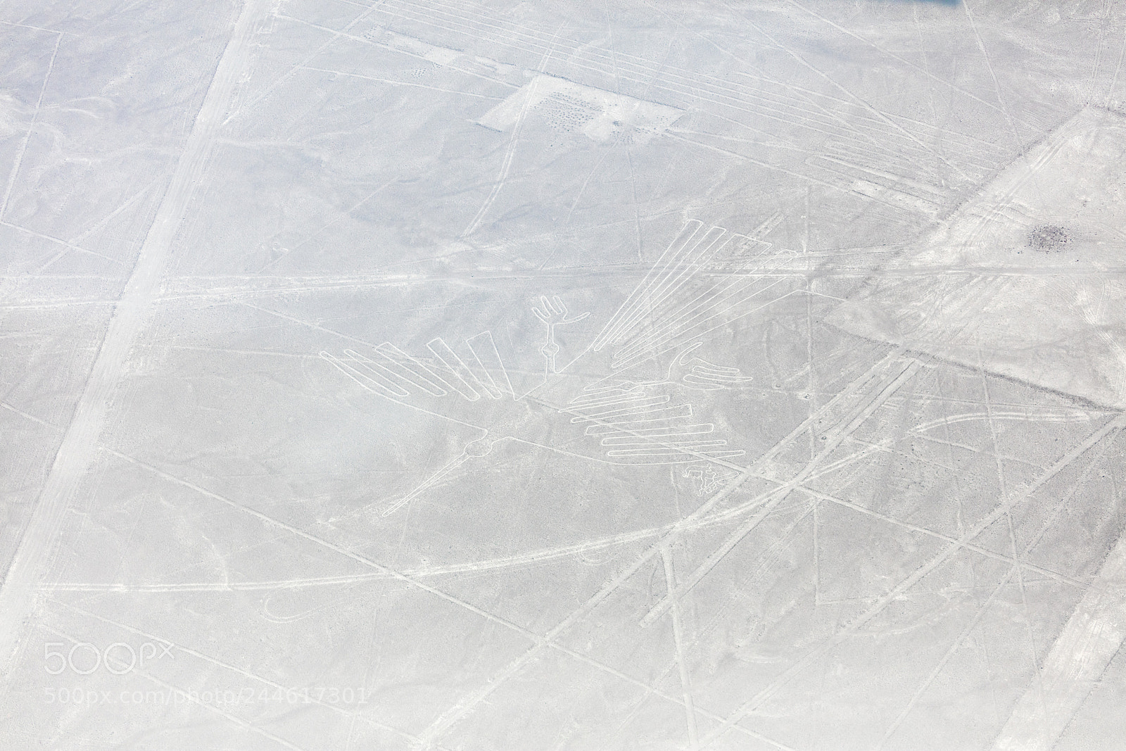 Canon EOS 5DS R sample photo. Nazca lines from the photography