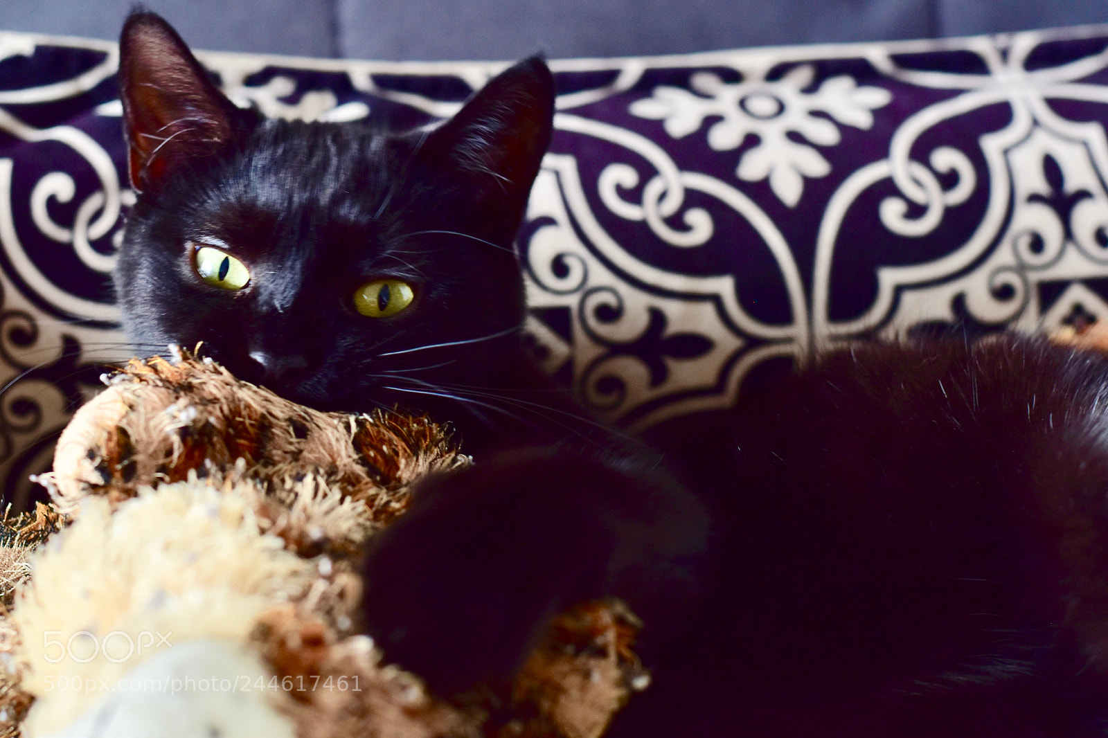Nikon D5600 sample photo. Melody playing with her photography