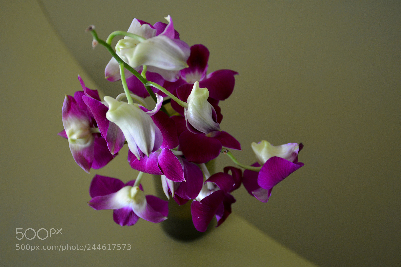 Nikon D7100 sample photo. Vase of orchids photography