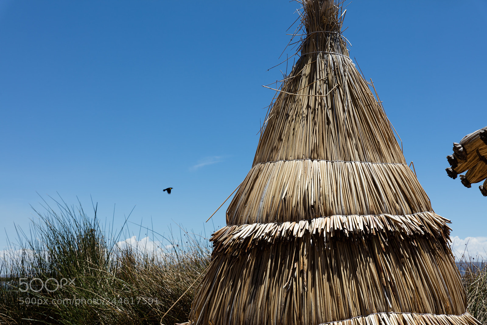 Canon EOS 5DS R sample photo. Life on the titicaca photography
