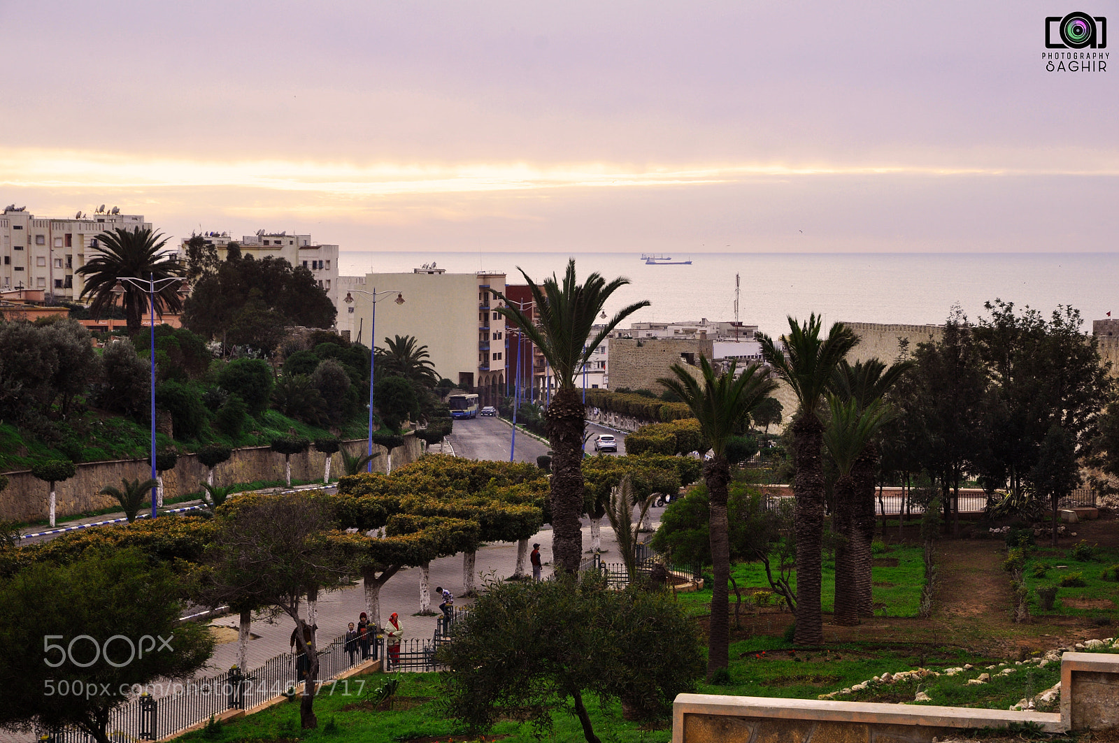 Nikon D90 sample photo. Untitled photography