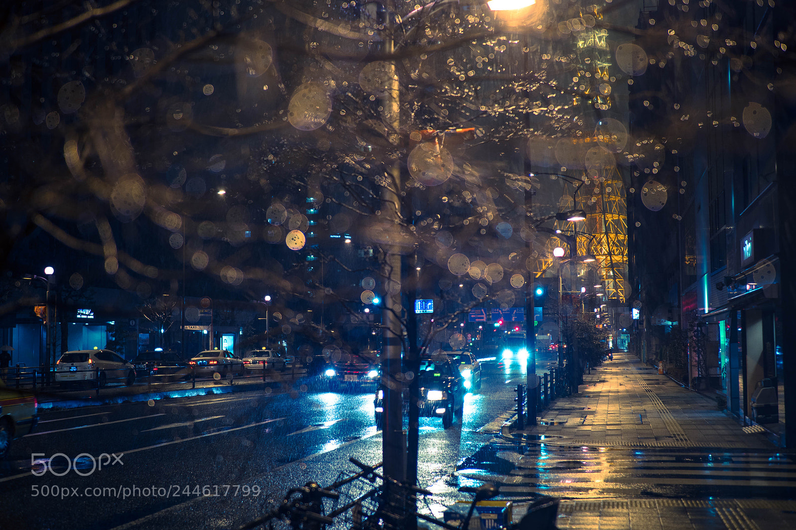 Olympus OM-D E-M1 Mark II sample photo. Winter rain photography