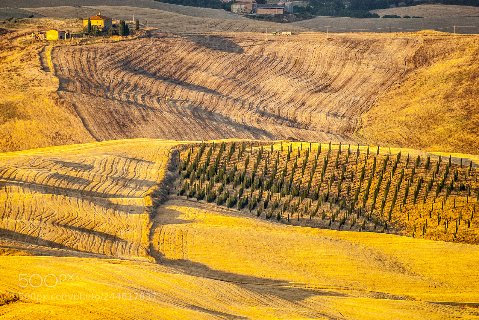 Nikon D200 sample photo. Montalcino (tuscany) photography