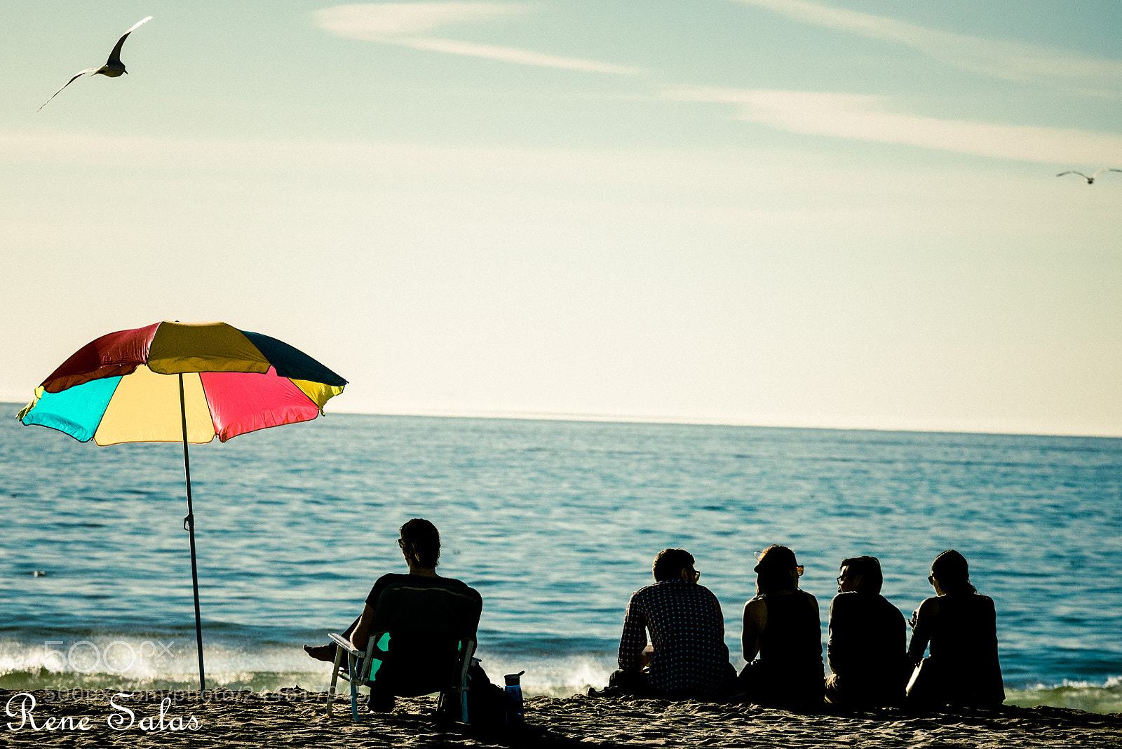 Nikon D810 sample photo. Venicebeach1 photography