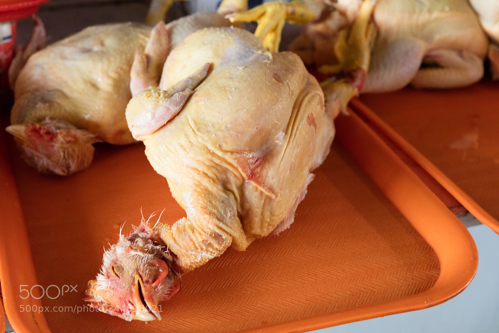 Canon EOS 5DS R sample photo. Chicken exposed in market photography