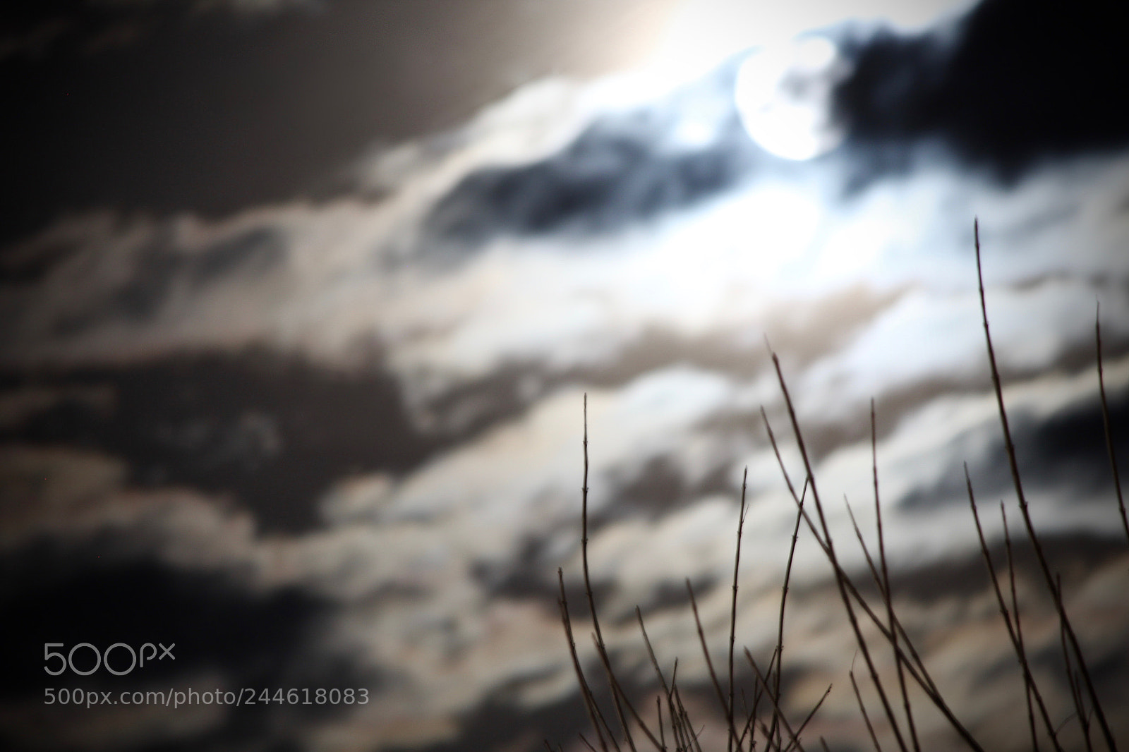 Canon EOS 1300D (EOS Rebel T6 / EOS Kiss X80) sample photo. Moonlight photography