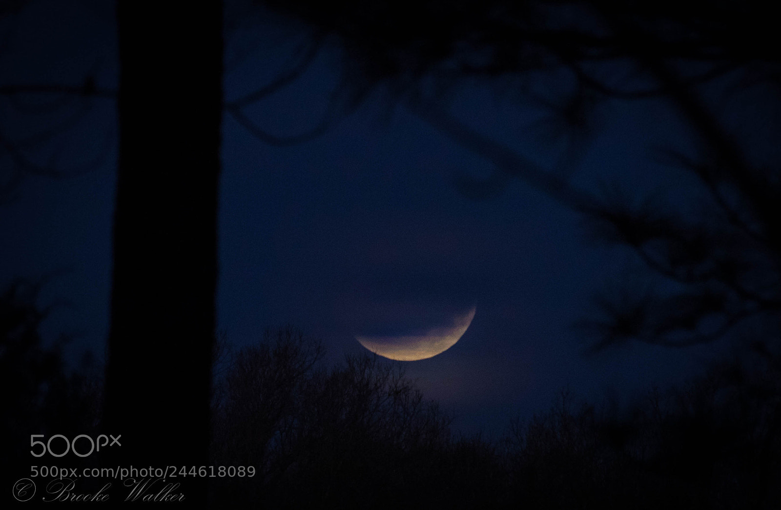 Canon EOS 750D (EOS Rebel T6i / EOS Kiss X8i) sample photo. Luna photography