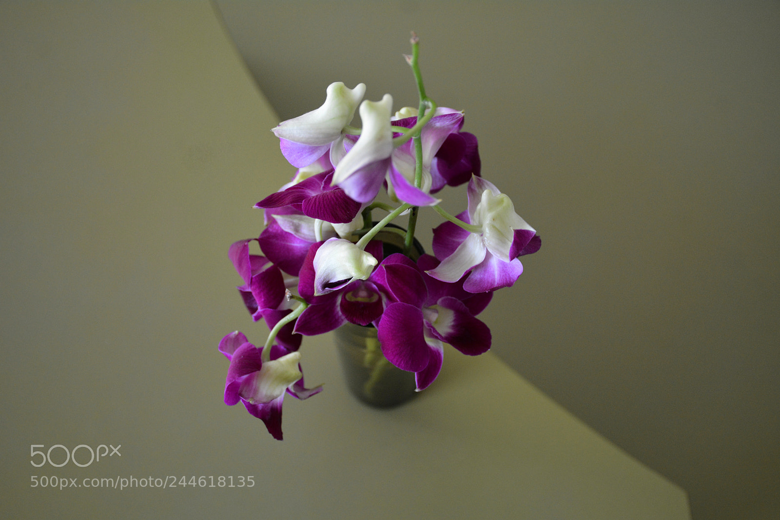 Nikon D7100 sample photo. Vase of orchids photography