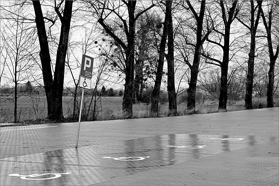 Nikon D610 sample photo. Parking photography