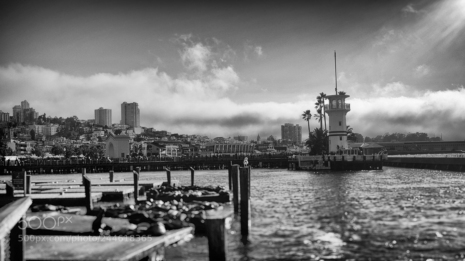 Fujifilm X100T sample photo. Sf pier forbes island photography